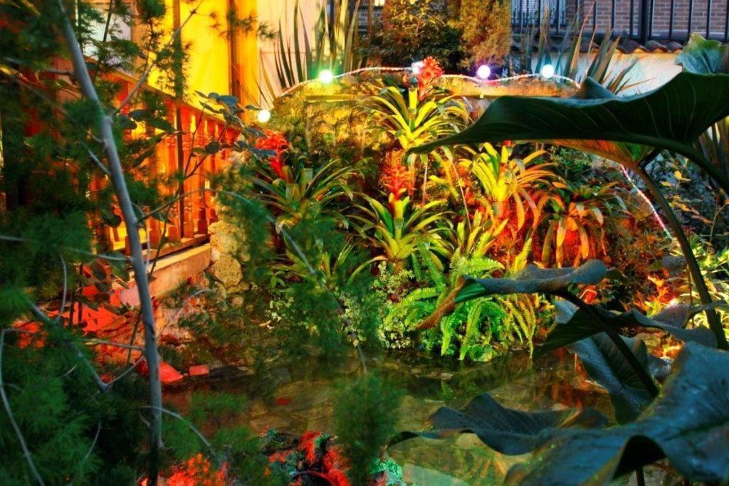 Casona Real Hotel ボゴタ エクステリア 写真